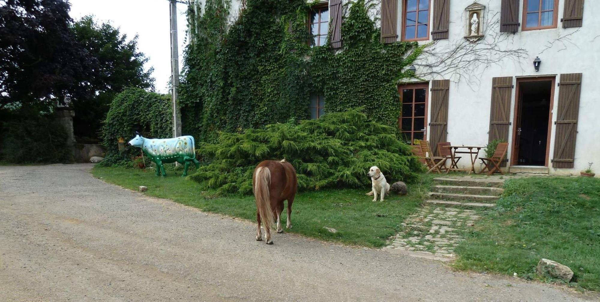 Ferme Du Montheu Bed & Breakfast Dommartin sous Amance Eksteriør bilde